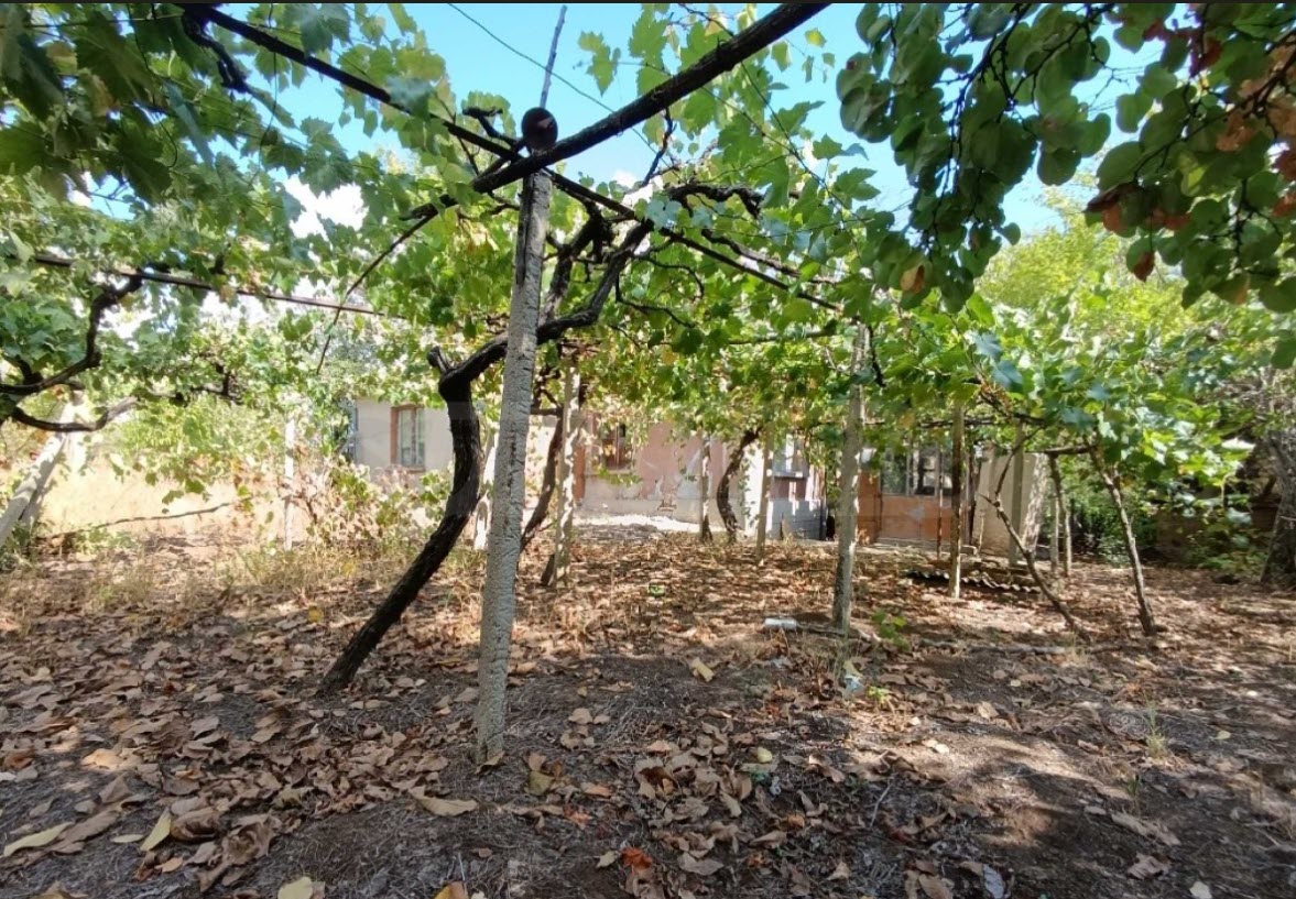 Attractive Single-Storey House with Garden Near Gorna Oryahovitsa